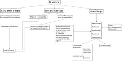 Corrigendum: Uncontrolled severe T2 asthma: Which biological to choose? A biomarker-based approach